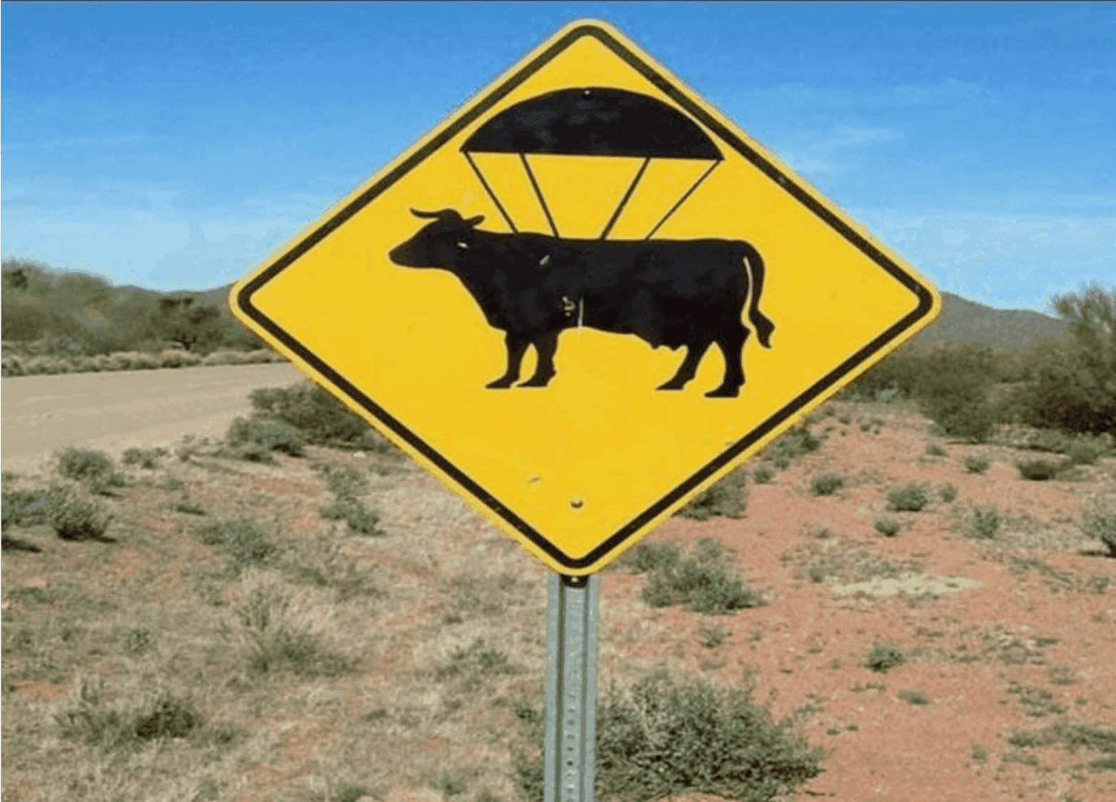 Did you know_parachuting cow